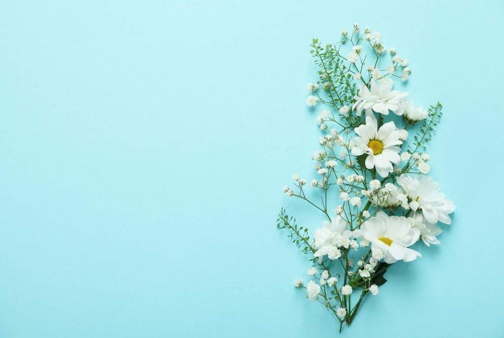 Blume Blau